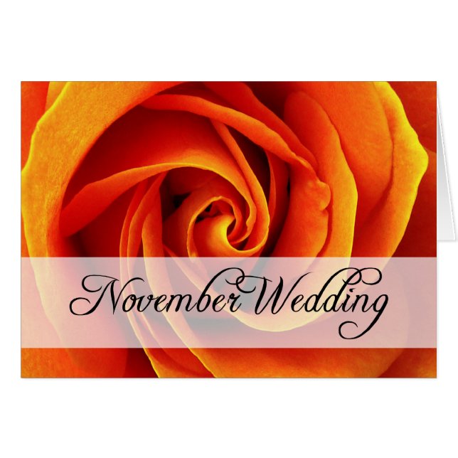 November Hochzeit : Rose der Saison: (Vorderseite (Horizontal))
