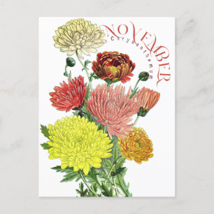 November Monat Blume Chrysanthemum Extravagant Pos Postkarte