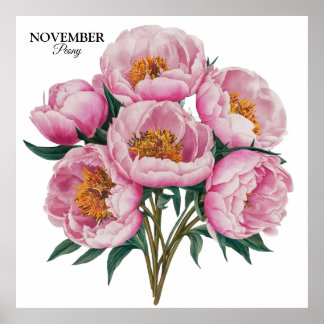 November Peony Bloom - Personalisiertes Geburtstag Poster