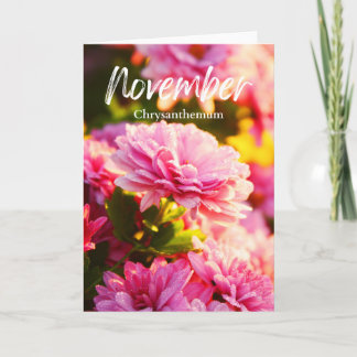 November Rosa Chrysantheme Geburtsmonatsblume Karte