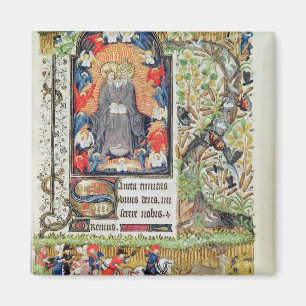November; Rotwildjagd Magnet