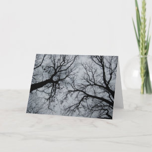 November Sky Through Trees Fotografy Karte