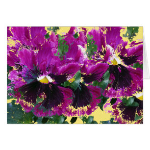 November-Stiefmütterchen