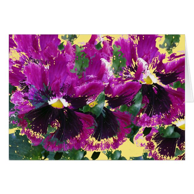 November-Stiefmütterchen (Vorderseite (Horizontal))