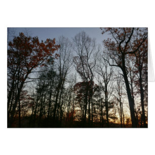 November Sunset