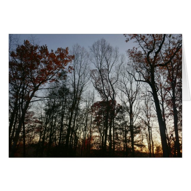November Sunset (Vorderseite (Horizontal))