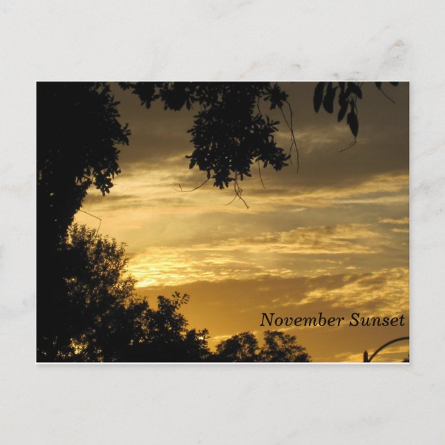 November Sunset Postcard Postkarte (Vorderseite)