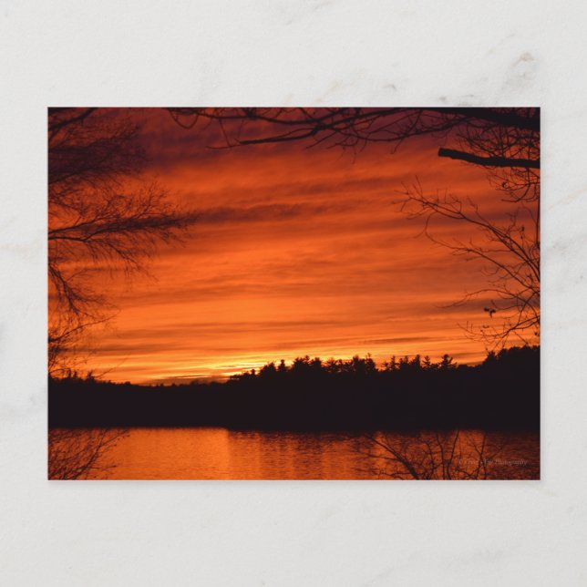 November Sunset Postcard Postkarte (Vorderseite)