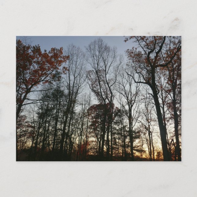 November Sunset Postkarte (Vorderseite)