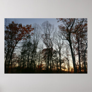 Novembersonne Poster
