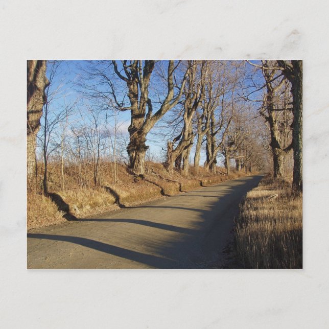 Novemberstraße Postkarte (Vorderseite)