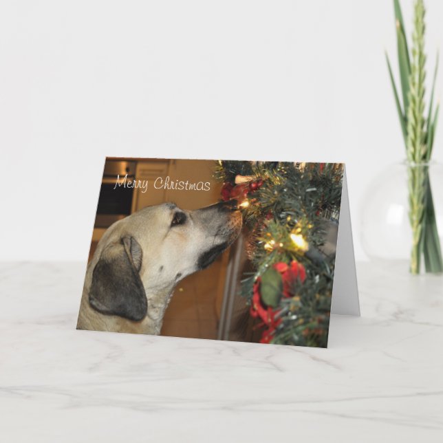 Nowzad Kilo-Weihnachtskarte Feiertagskarte (Vorderseite)