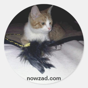 Nowzad Pablo Sticker