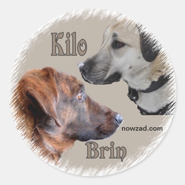 Nowzad Rescue Hunde Brin & Kilo Sticker (Vorderseite)