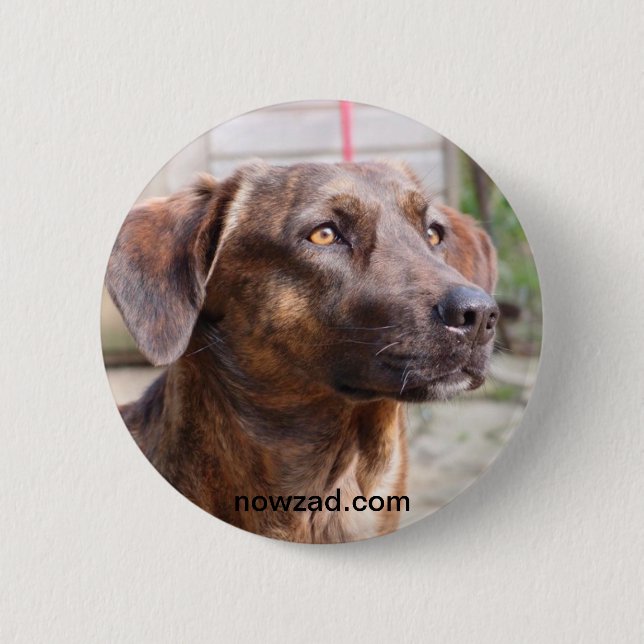 Nowzad Rettungs-HundBrin Abzeichen Button (Vorderseite)