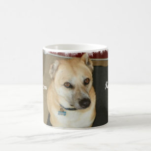Nowzad Rettungs-Hundekaffee-Tasse Tasse