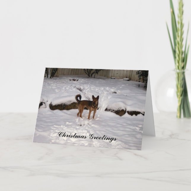 Nowzad Rettungs-Weihnachtskarte Feiertagskarte (Vorderseite)
