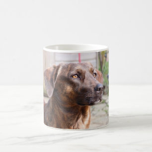 Nowzad Rscue HundBrin Kaffee-Tasse Tasse