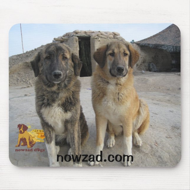 Nowzad verfolgt Mäusematte Mousepad (Vorne)