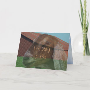 Nubian Damhirschkuh-Visions-Beileids-Karte oder Karte