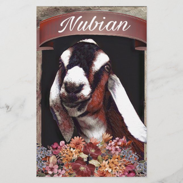 Nubian Goat (Vorderseite)