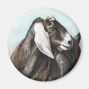 Nubian Goat Art Magnet