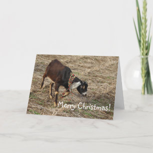 Nubian Goat, Frohe Weihnachten! Feiertagskarte