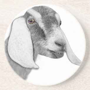 Nubian Goat Sandstone Untersetzer