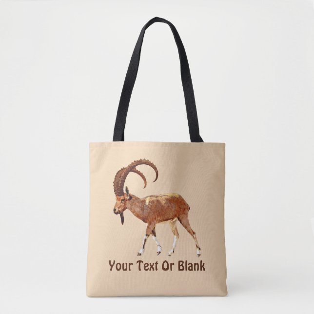 Nubian Ibex - Ein Gedi (Vorderseite)