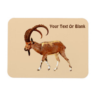 Nubian Ibex - Ein Gedi Magnet