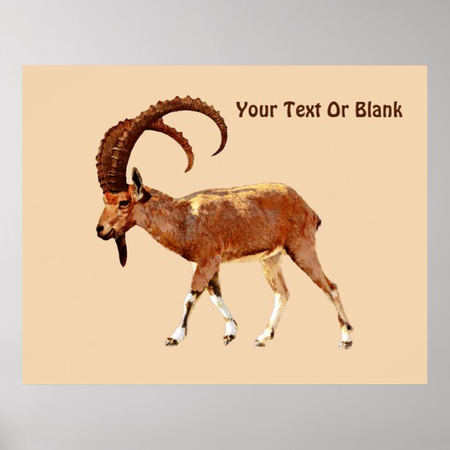 Nubian Ibex - Ein Gedi Poster (Vorne)