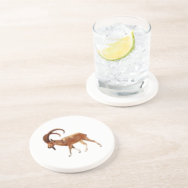 Nubian Ibex - Ein Gedi Untersetzer (Seite)