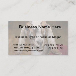 Nubian Molkereiziegen-Damhirschkuh-weißes Visitenkarte