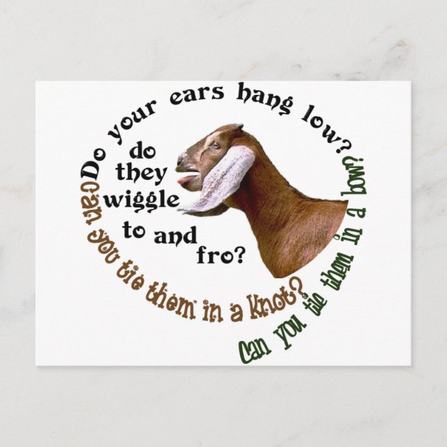 NUBIAN ZIEGE - HÄNGEN IHRE OHREN NIEDRIG? POSTKARTE (Vorderseite)