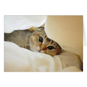 Nudeln, die Verstecken spielen