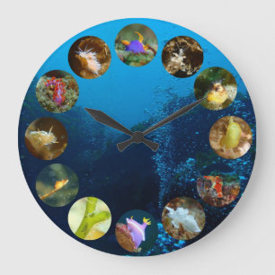 Nudibranch Clock Große Wanduhr