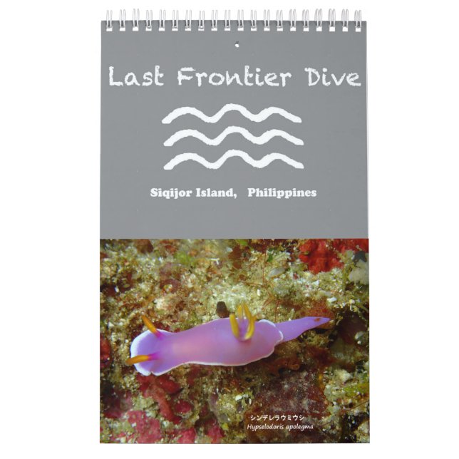 Nudibranchs in Siquijor: Desktop-Kalender Kalender (Titelbild)