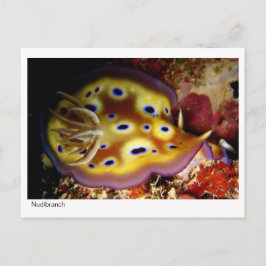 NudiBranntwein Postkarte
