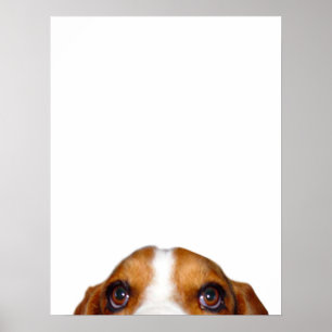 'Nuff gesagt! Poster