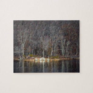 Nuklearer Winter Puzzle