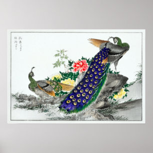 Numata Kashu Peacock und Peony Poster