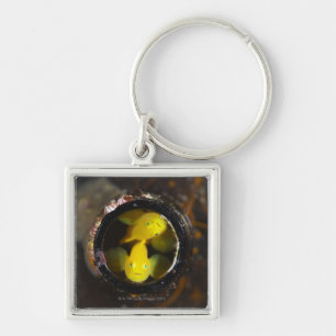 Numazu, Präfektur Shizuoka, Japan Schlüsselanhänger