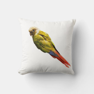 Numchoke ist kein Vogel Kissen