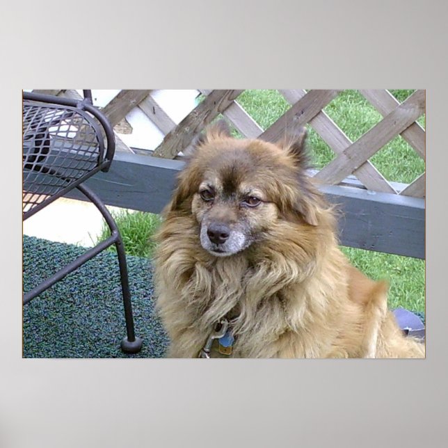 Nummer Eins Son Poster (Vorne)