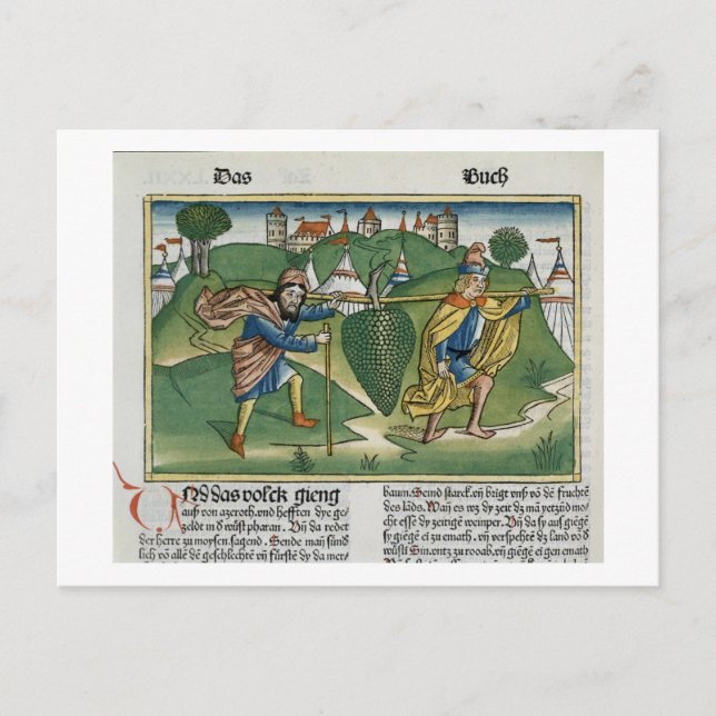 Nummern 13 23 Die Trauben von Eschol, aus dem "Nur Postkarte (Vorderseite)