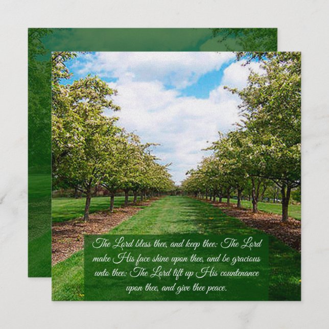 Nummern 6:24-26 Flachkarte (Vorne/Hinten)