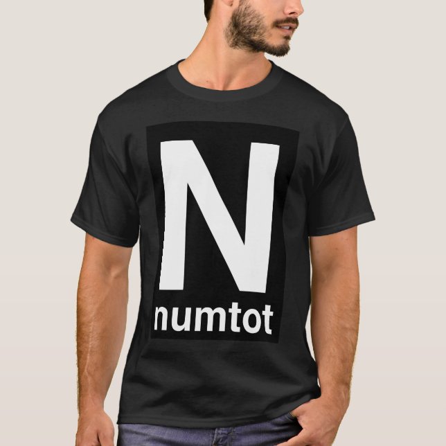 Numtot Transit T-Shirt (Vorderseite)