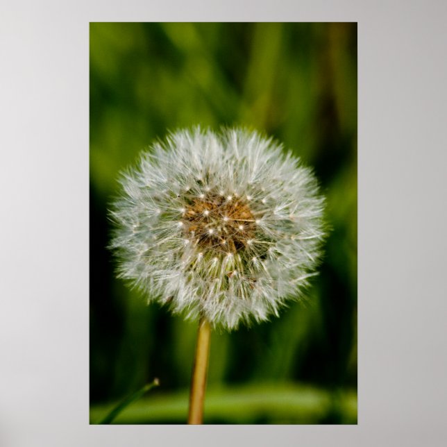 Nun, blasen Sie mir Poster (Vorne)
