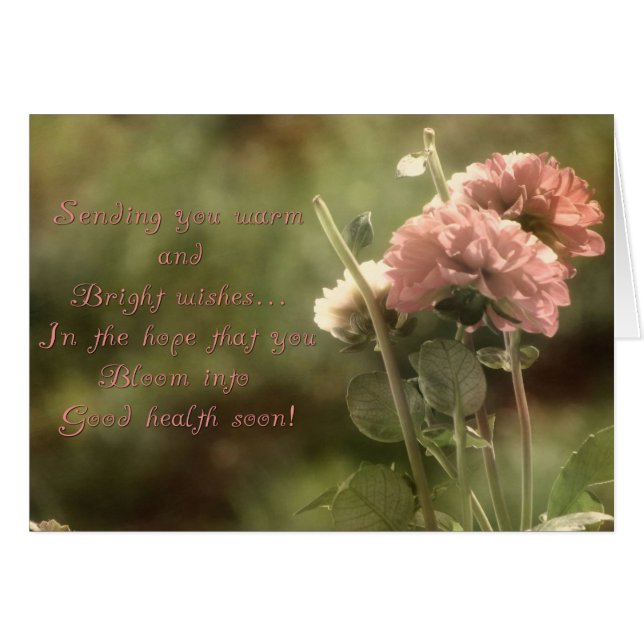 Nun blühende Dahlias (Vorderseite (Horizontal))