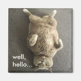 "Nun, hallo..." von Fiona, der britischen Blue Cat Magnet
